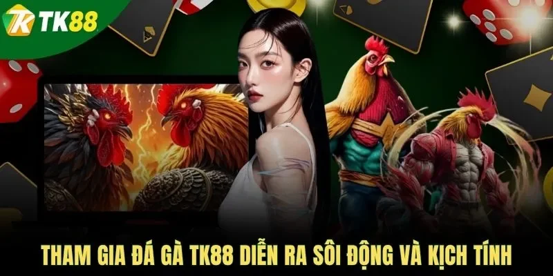 Tham gia đá gà TK88 diễn ra sôi động và kịch tính